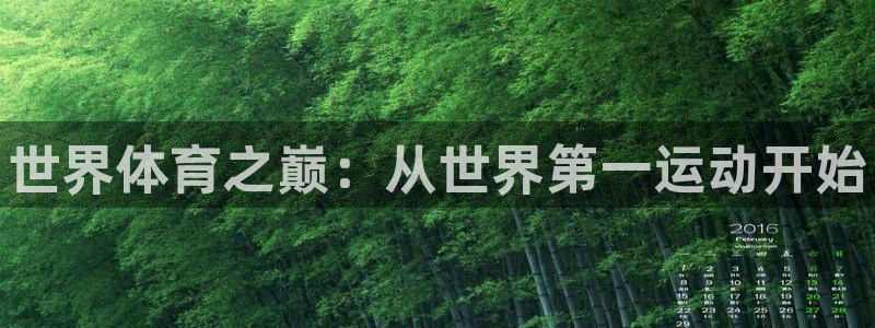 3377体育官方正版app开户:世界体育之巅:从世界第一运动