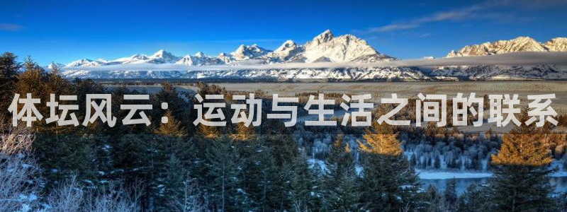 3377体育官网下载是干嘛的公司:体坛风云:运动与生活之间的